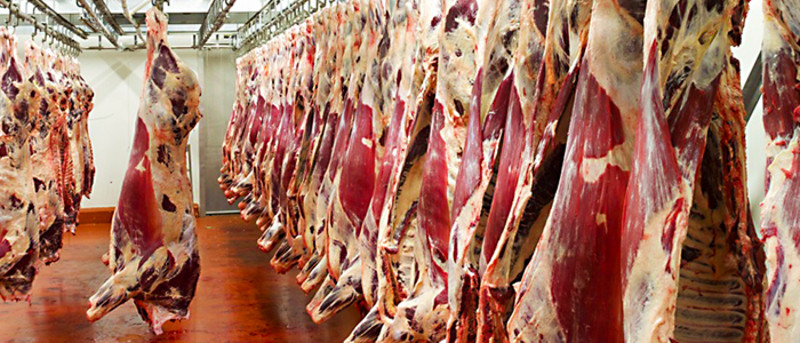 Entfeuchtung in der Fleischindustrie-Trotec