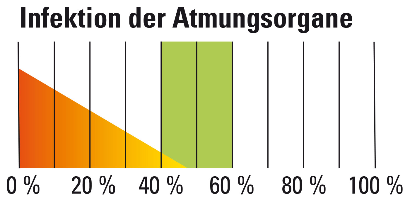 Infektion der Atemwege