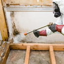 Sanierung von Schimmelbefall nach Leitungswasserschäden