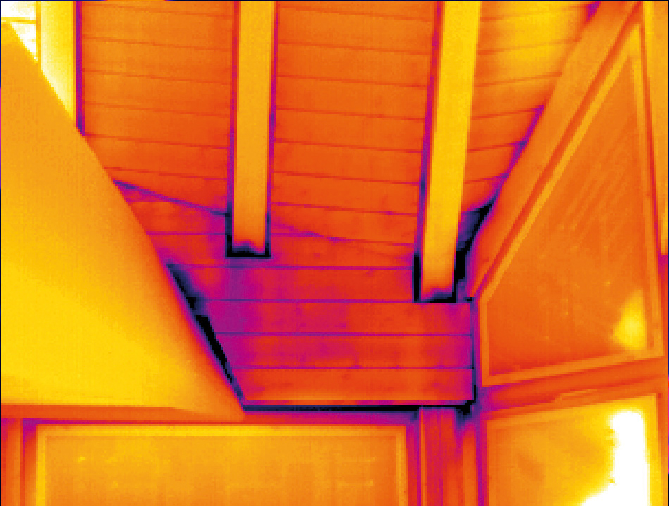 Thermografie mit der XC300